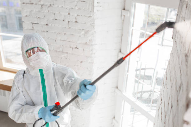 Best Asbestos and Lead Testing During Mold Inspection  in USA